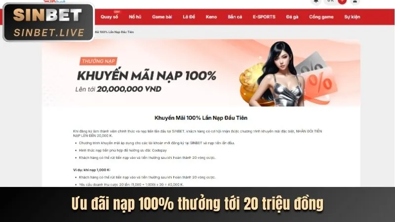 Các sự kiện và khuyến mãi đặc biệt